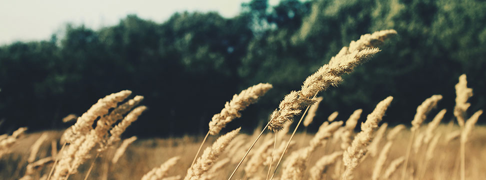 post-image post-image